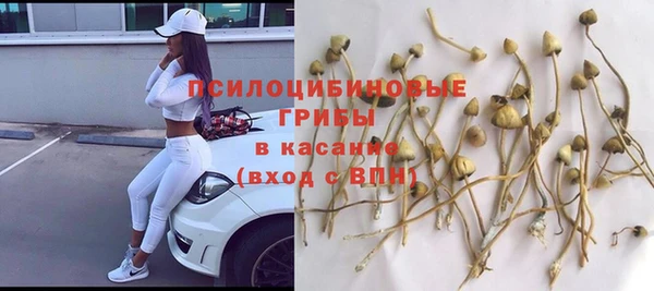 кристаллы Абаза