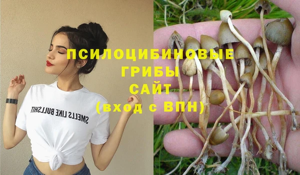 амф Абинск