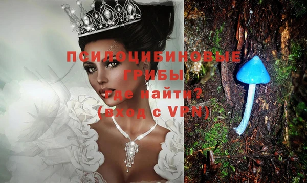 спайс Абдулино