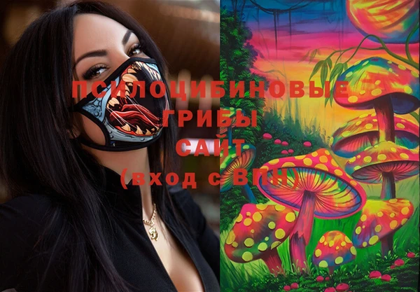 альфа пвп Пролетарск