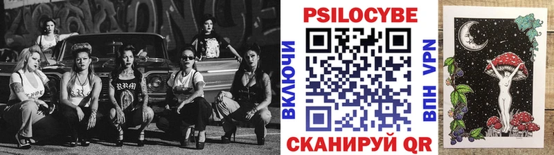 как найти закладки  Кизляр  Псилоцибиновые грибы Psilocybe 